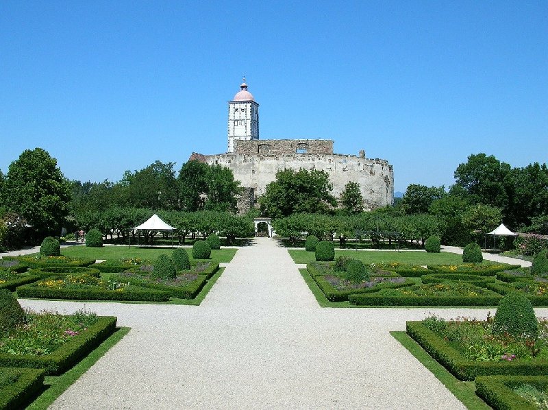 Najlepsze oferty odrodnicze