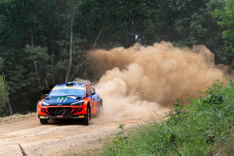 Organizowanie rajdów z gwiazdami