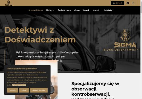 Detektyw Sigma Z Katowic Krakowa Olkusza